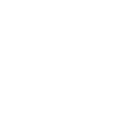 wd-blurflake3 Intro Animation Image